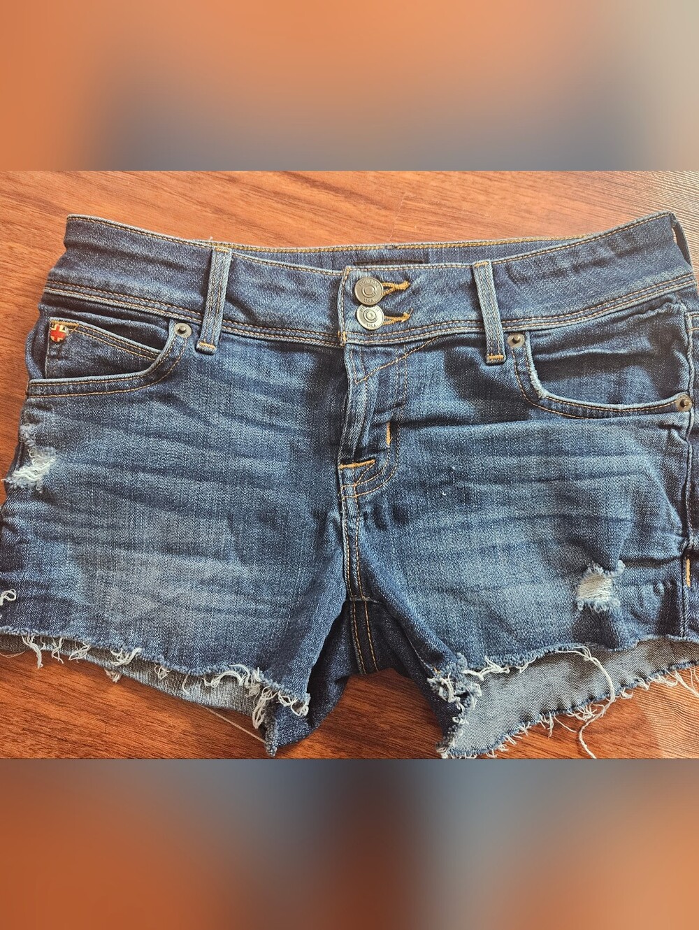 Hudson Croxley Mid Thigh Raw Hem Shorts 24